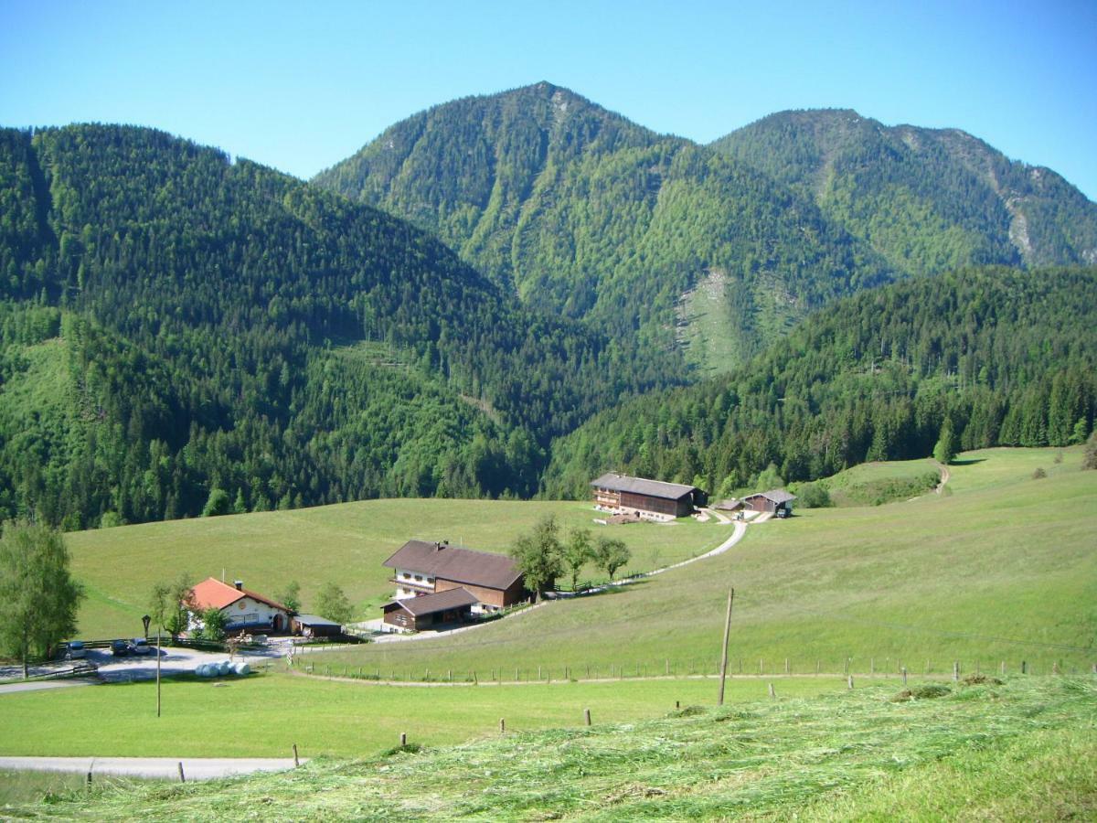Villa Bichlhof Riedenberg Thiersee Exterior foto